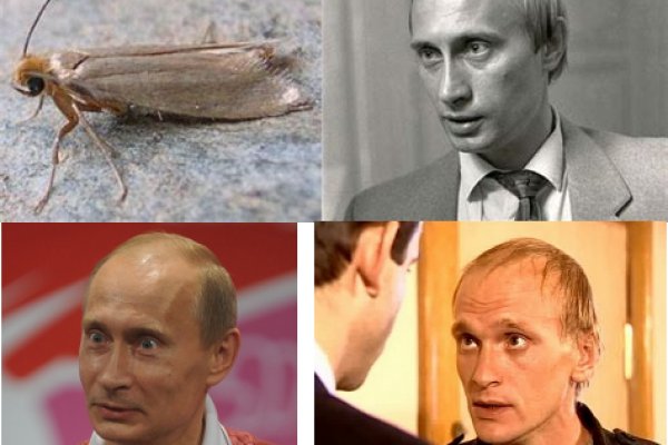 Onion сайт кракен