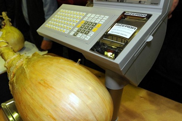 Кракен плейс