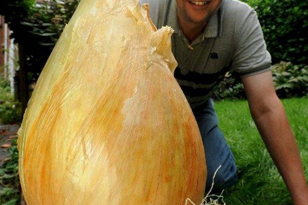 Ссылка на кракен в тор на сегодня